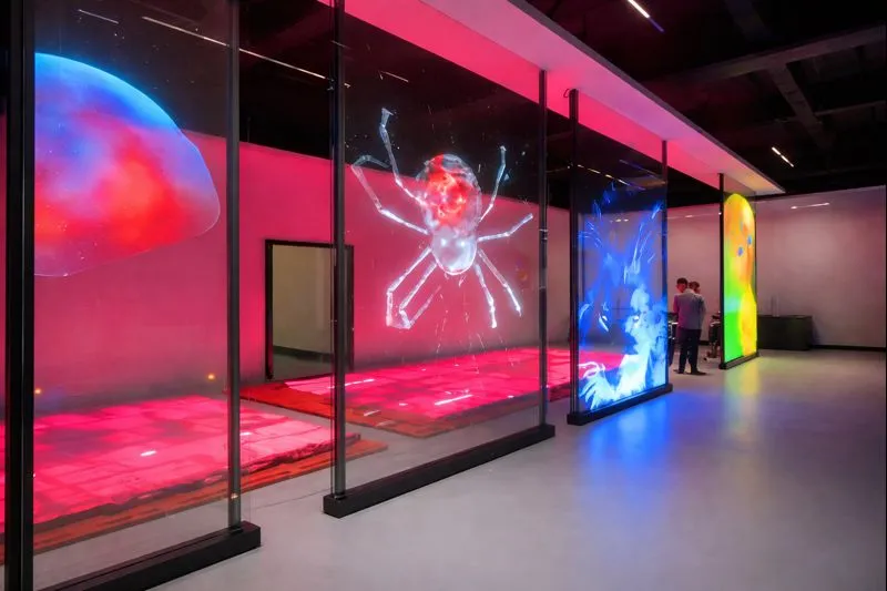 Demostración de Transparencia